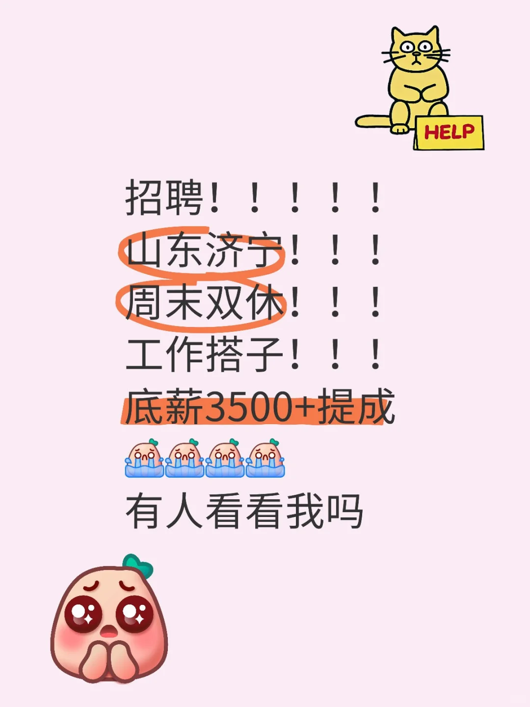 济宁双休的工作