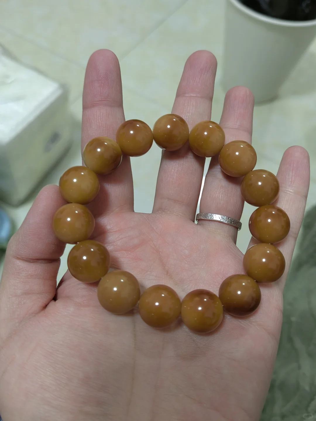 到底什么样的才是真菩提根啊