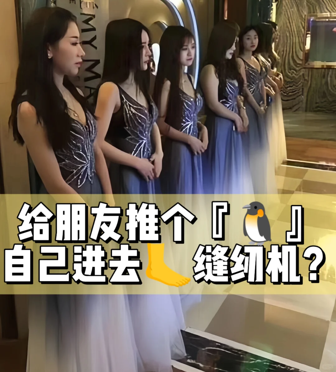给朋友推个『🐧』，自己进去踩缝纫机？