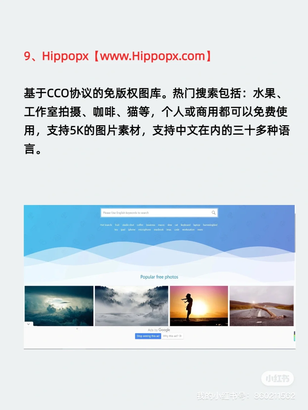 🤔9个高清免费图片素材网站