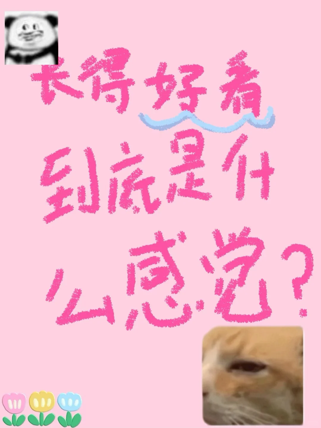 长得很好看是什么感觉