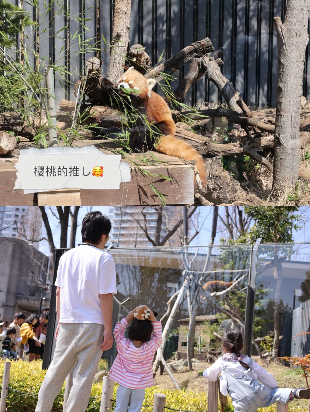 我姑娘的推し😆