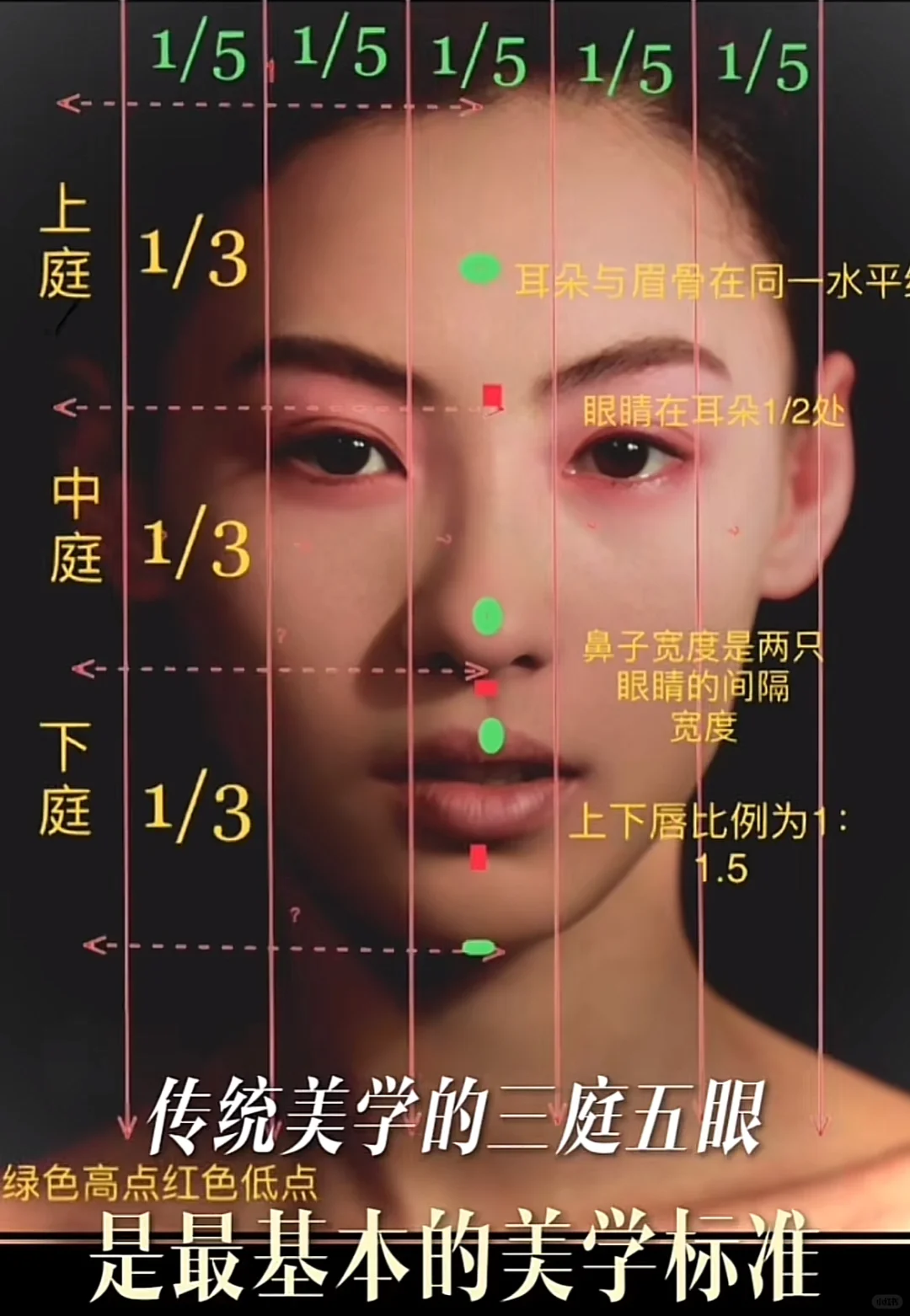 张柏芝的脸为什么这么美？