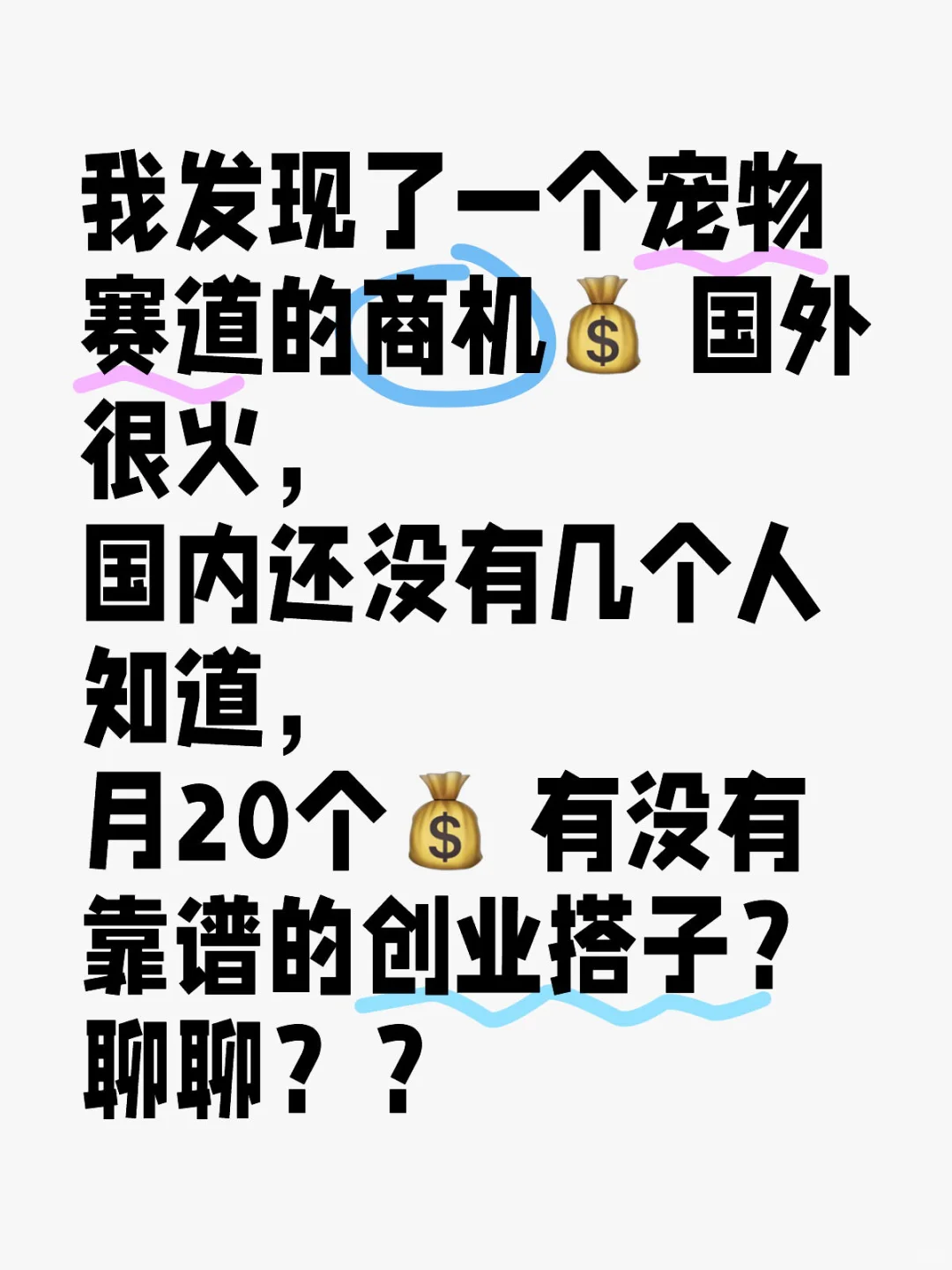 我抓住了宠物赛道的新风口，上个月20个💰…