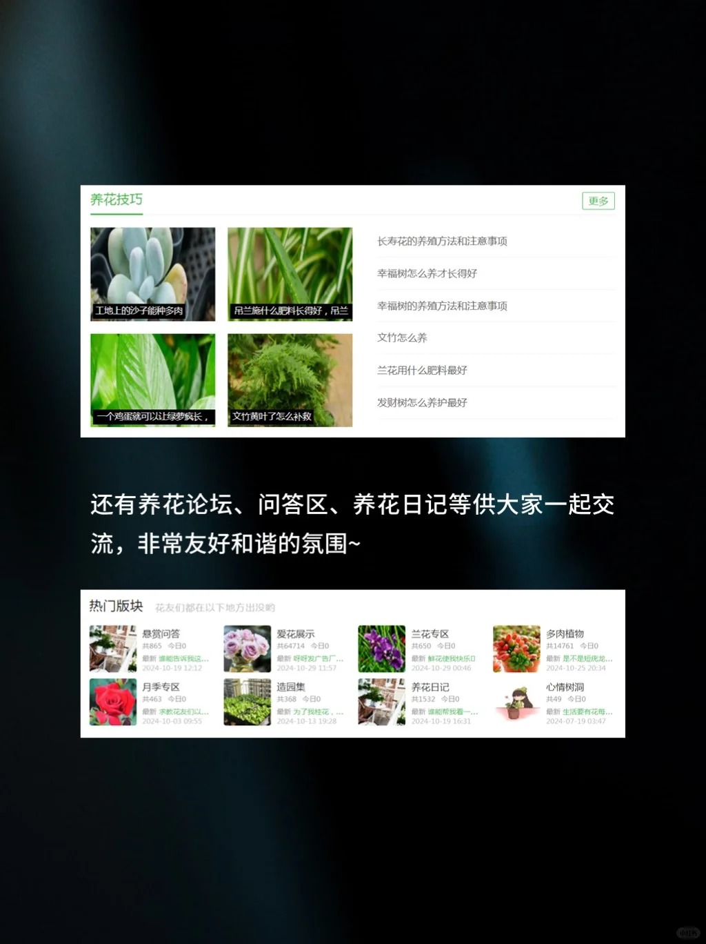 又来5个逆天网站，瞬间夺走你的卧槽！