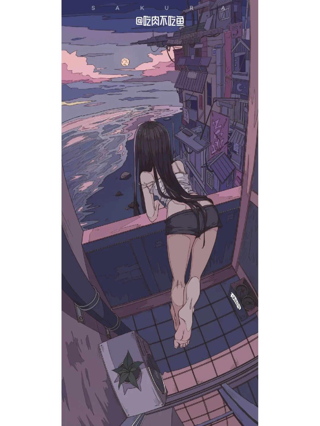 海边夜风｜习作