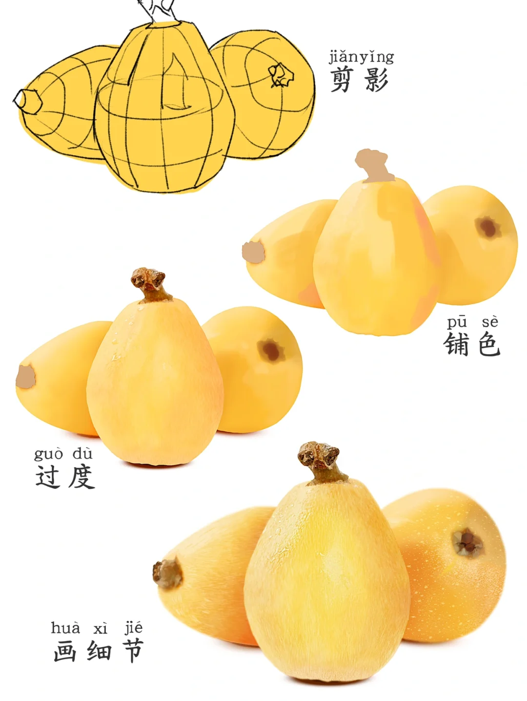 iPad画水果【枇杷 】板绘procreate厚涂步骤