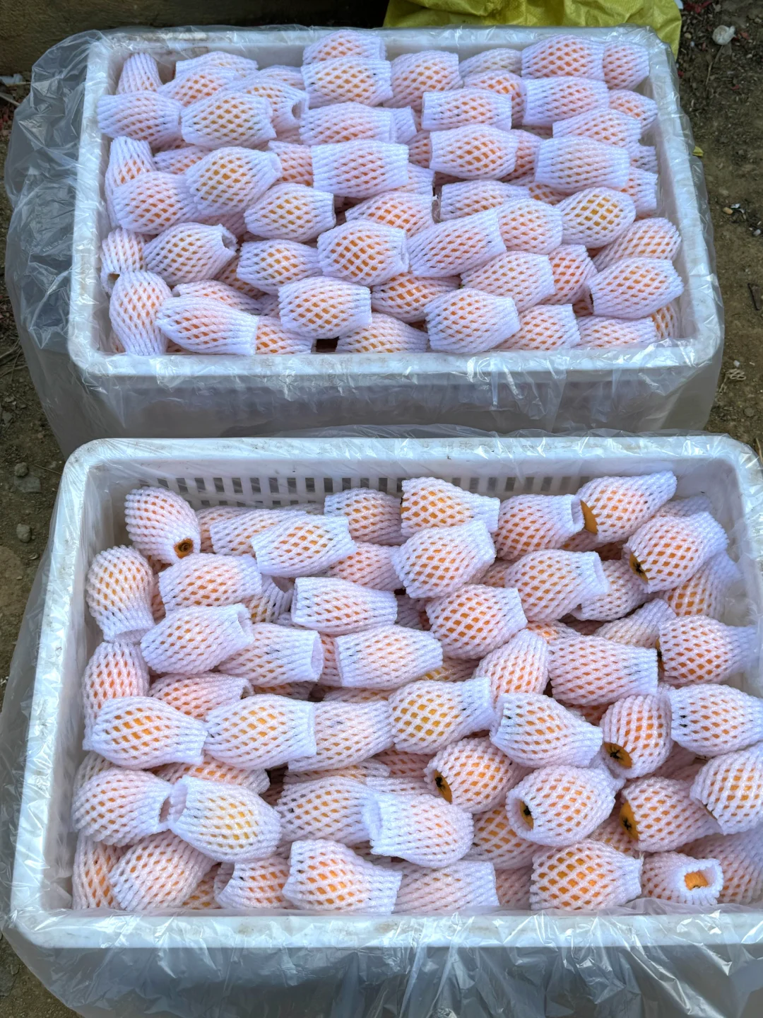 搞一波福利！枇杷大果7.9一箱！只有500单！