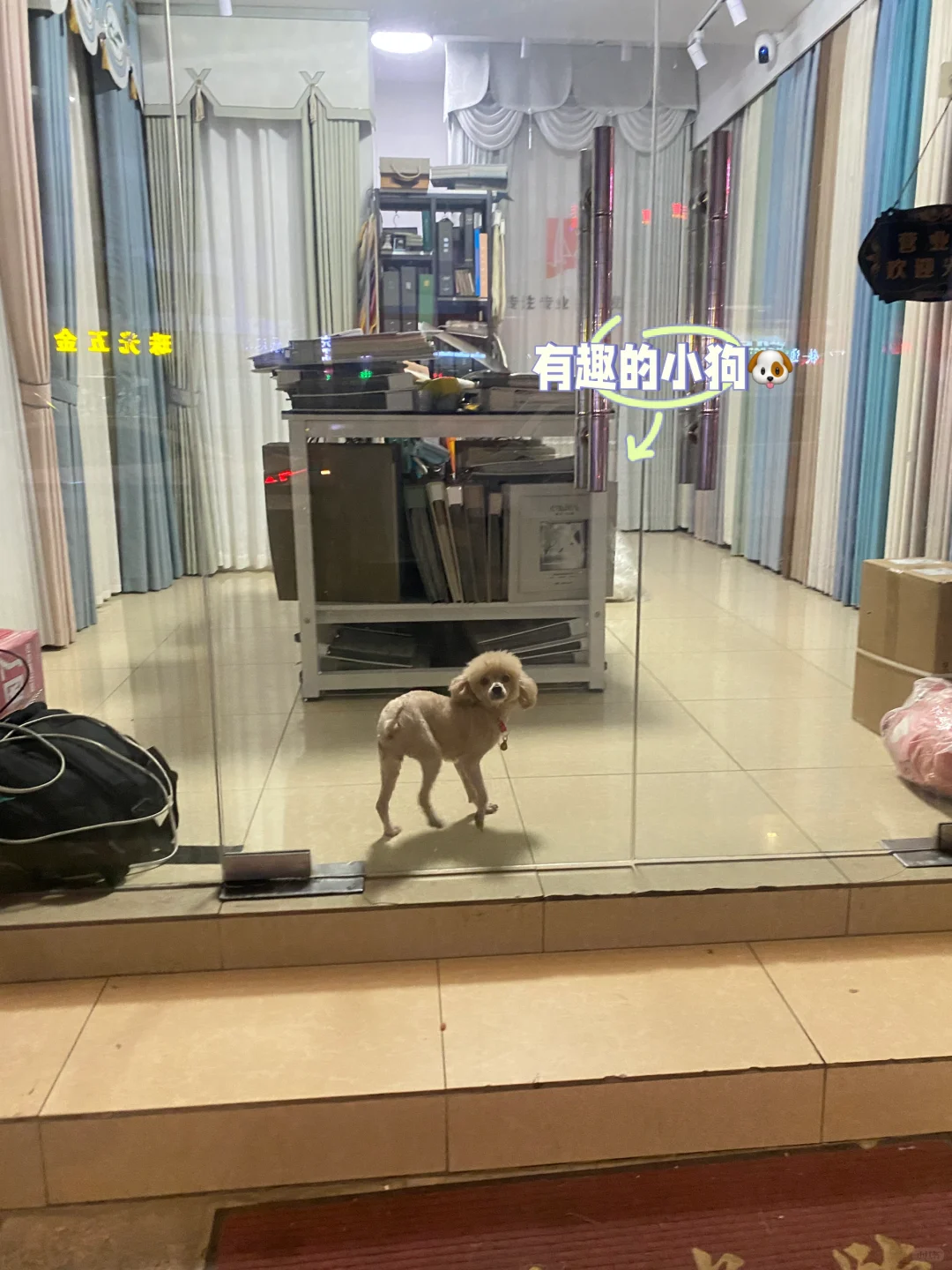 0️⃣4️⃣女大勇闯广州第N天的真心话