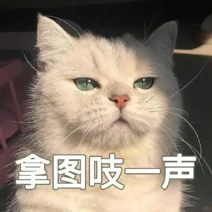 · 𝑆ℎ𝑎𝑟𝑒 | 女生头像🧚🏻‍♀️ 𝟎𝟏.𝟑𝟎