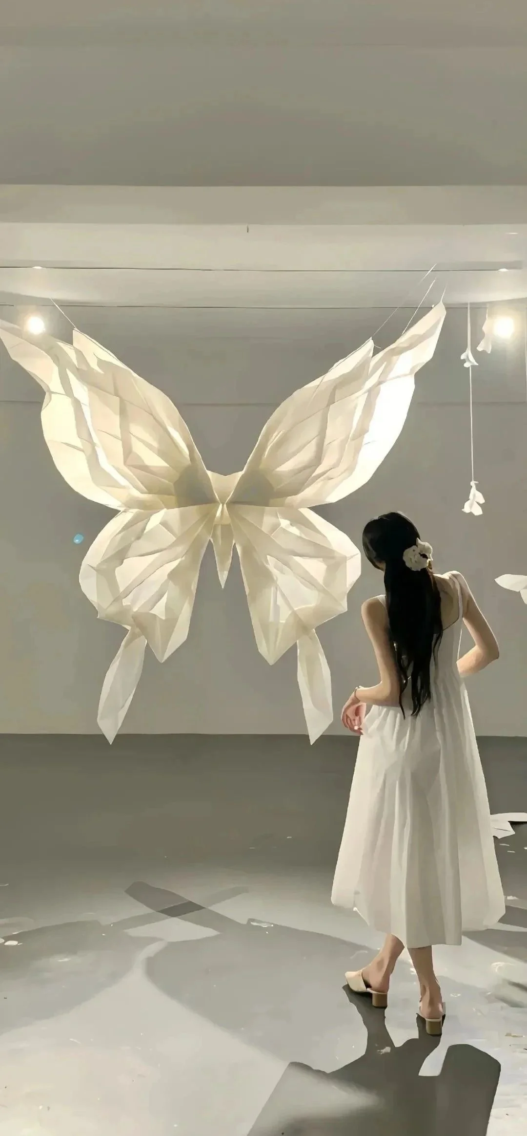 减肥人壁纸