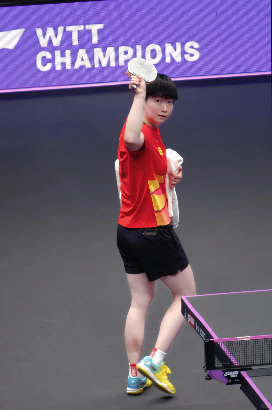 3.16重庆 🦈🦁壁纸