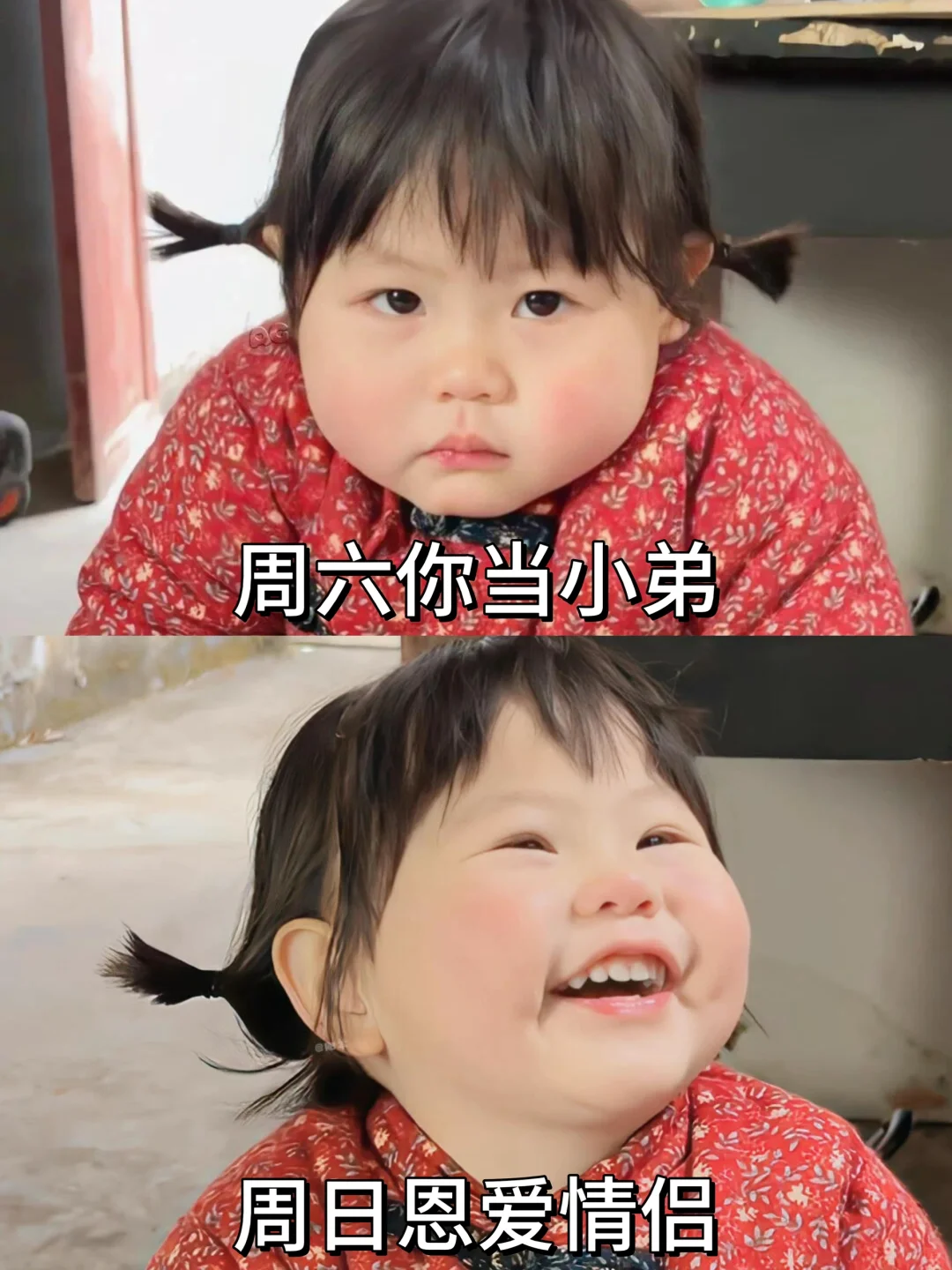 搞笑女发疯日常之我有个成熟的想法
