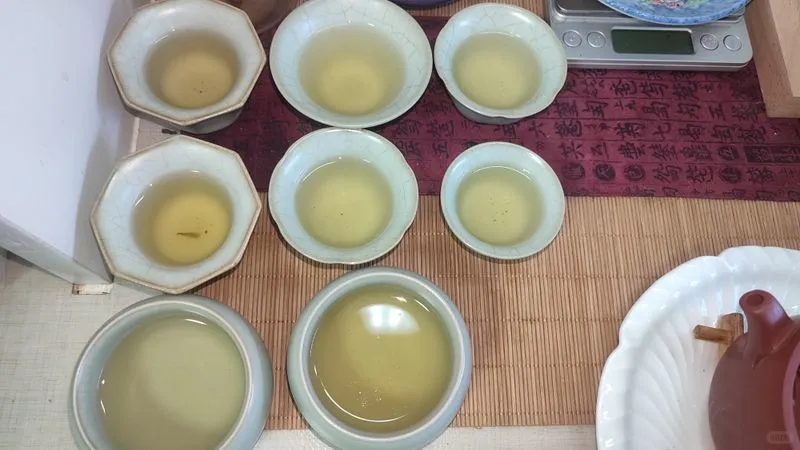茶友评测：无名沱茶总体表现不错