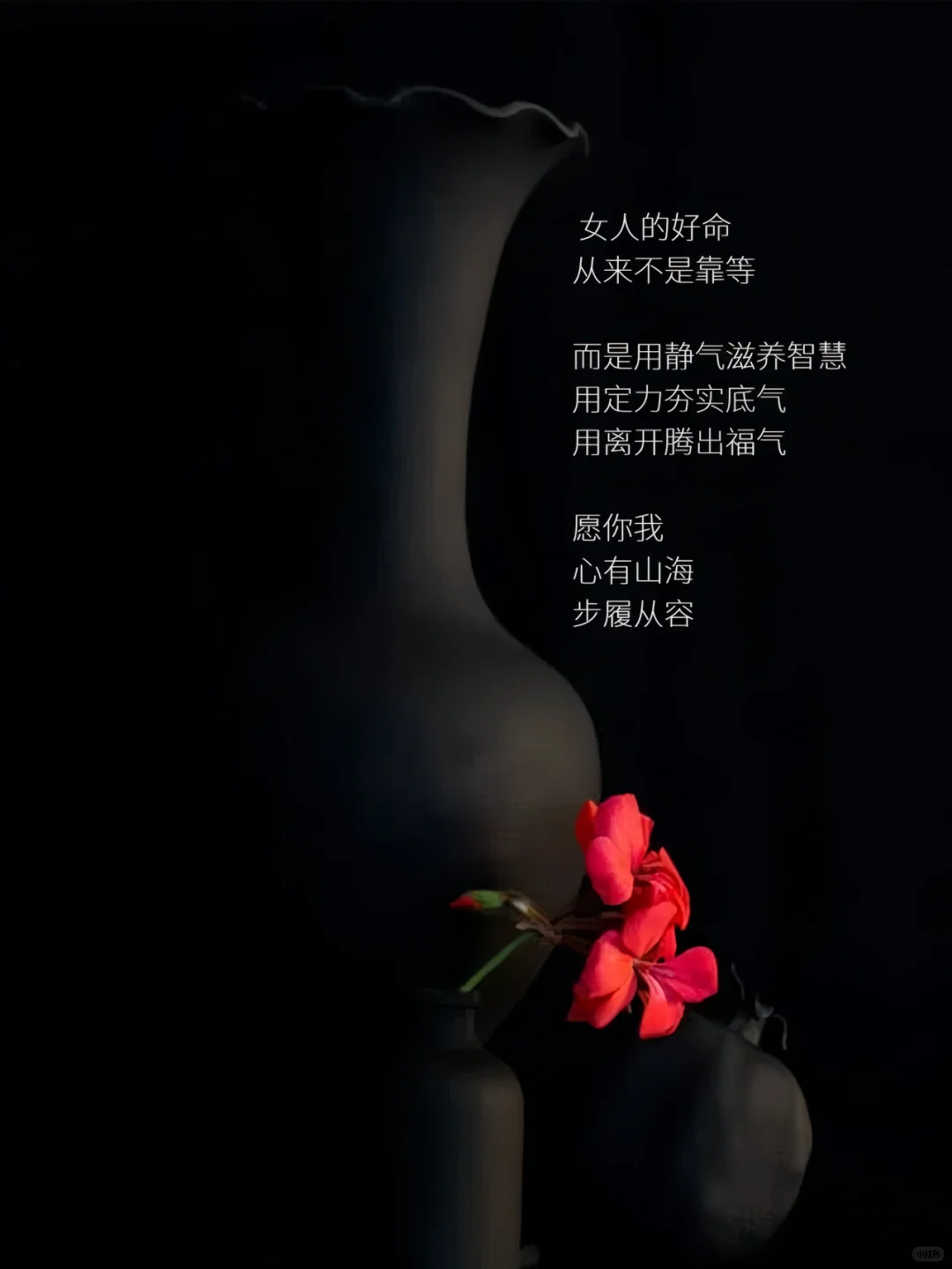 🌟 静、定、离，是女人一生的福气 🌟