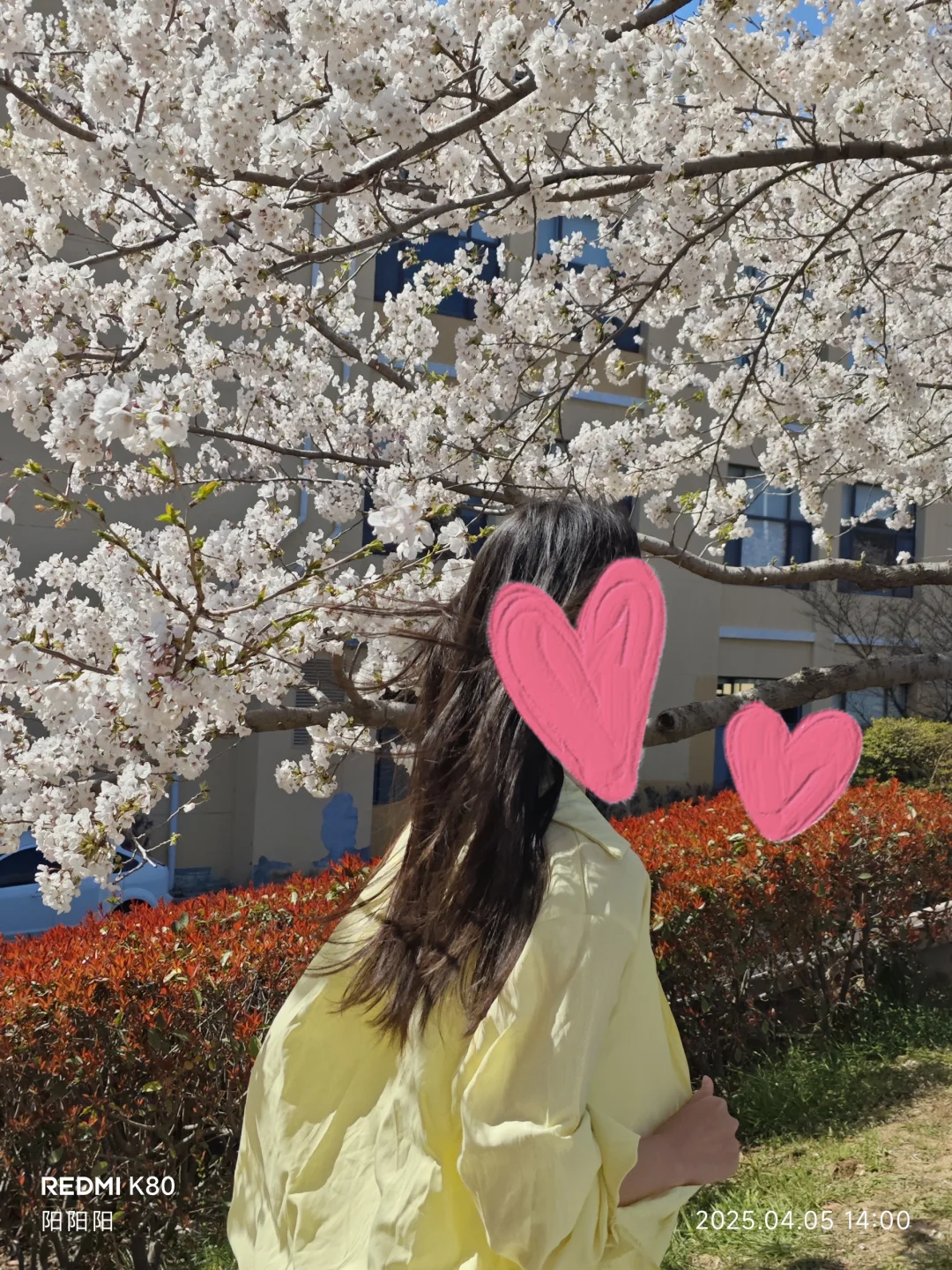 ٩(●´৺`●)૭٩(●´৺`●)و