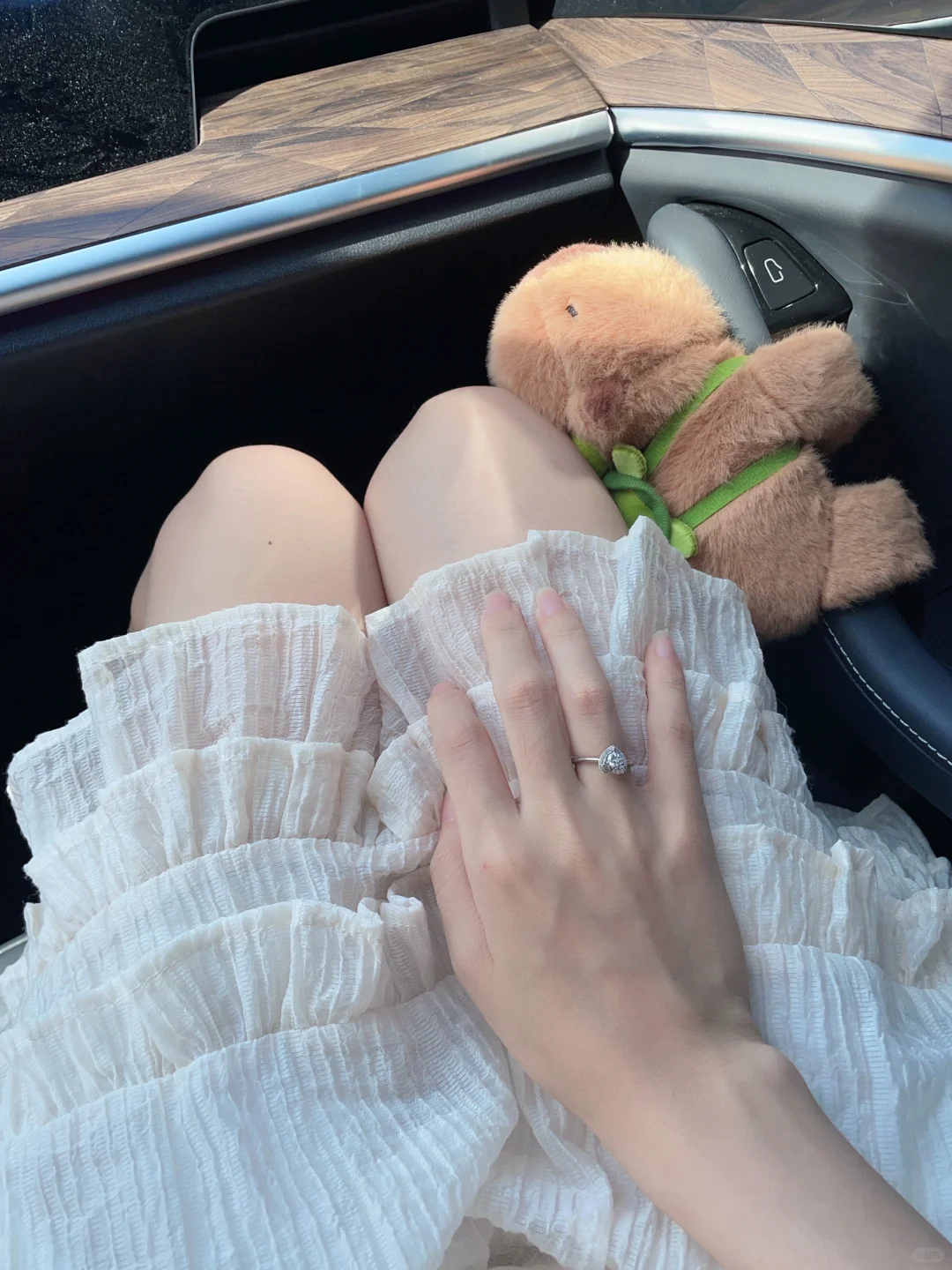 早上的阳光真美