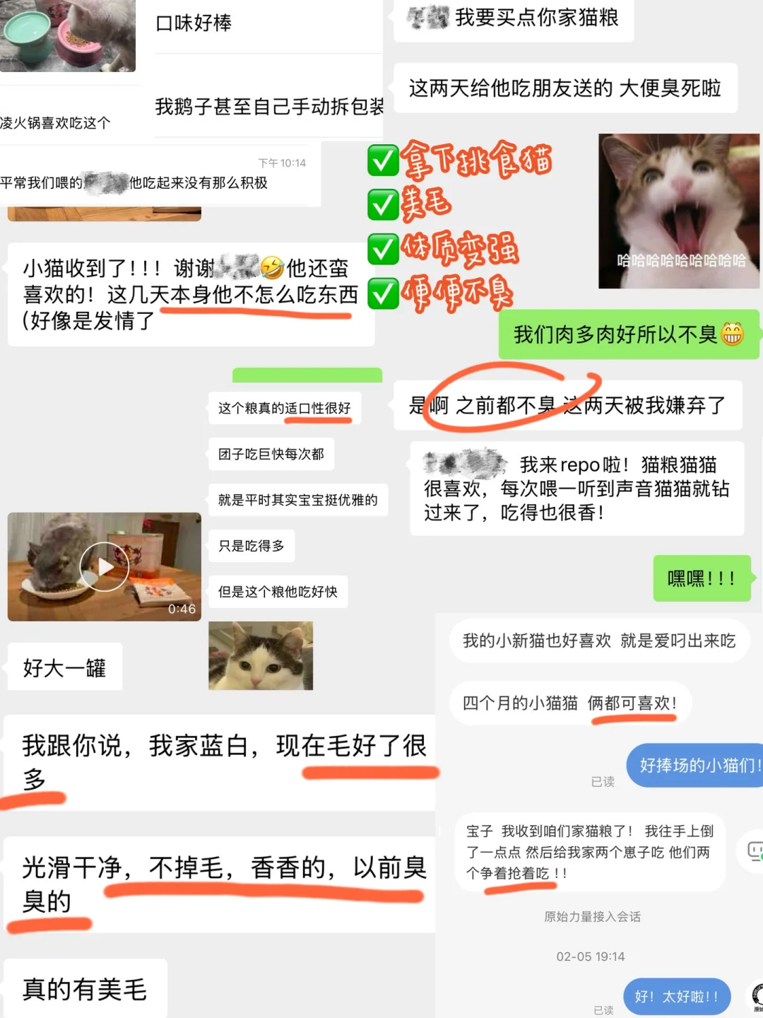 来了！大家最关心的销量和新品！