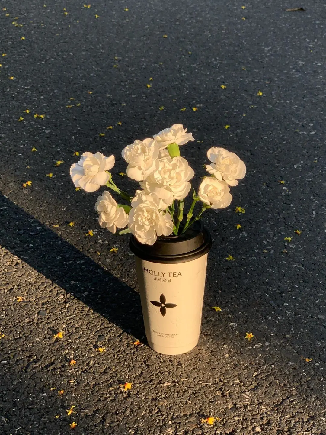 漂亮花花背景图！快拿走！