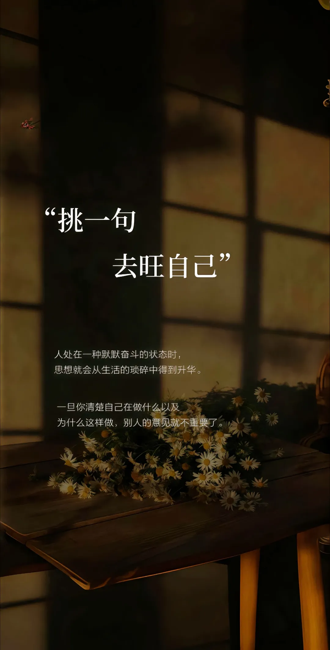 此生情愿，只与一人共月光。🌙