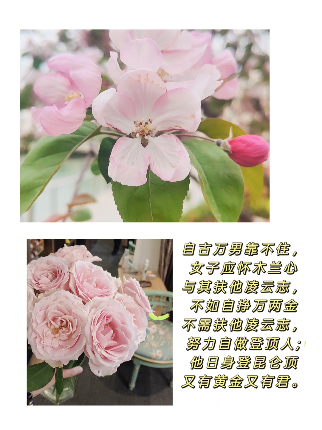 真的要学会好好爱自己