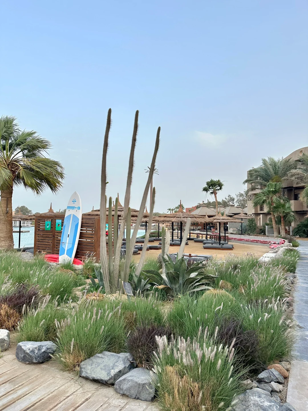 🇪🇬旅行的时候最漂亮𓇼 𓂂𓈒𓏸🐚 ⭒˚