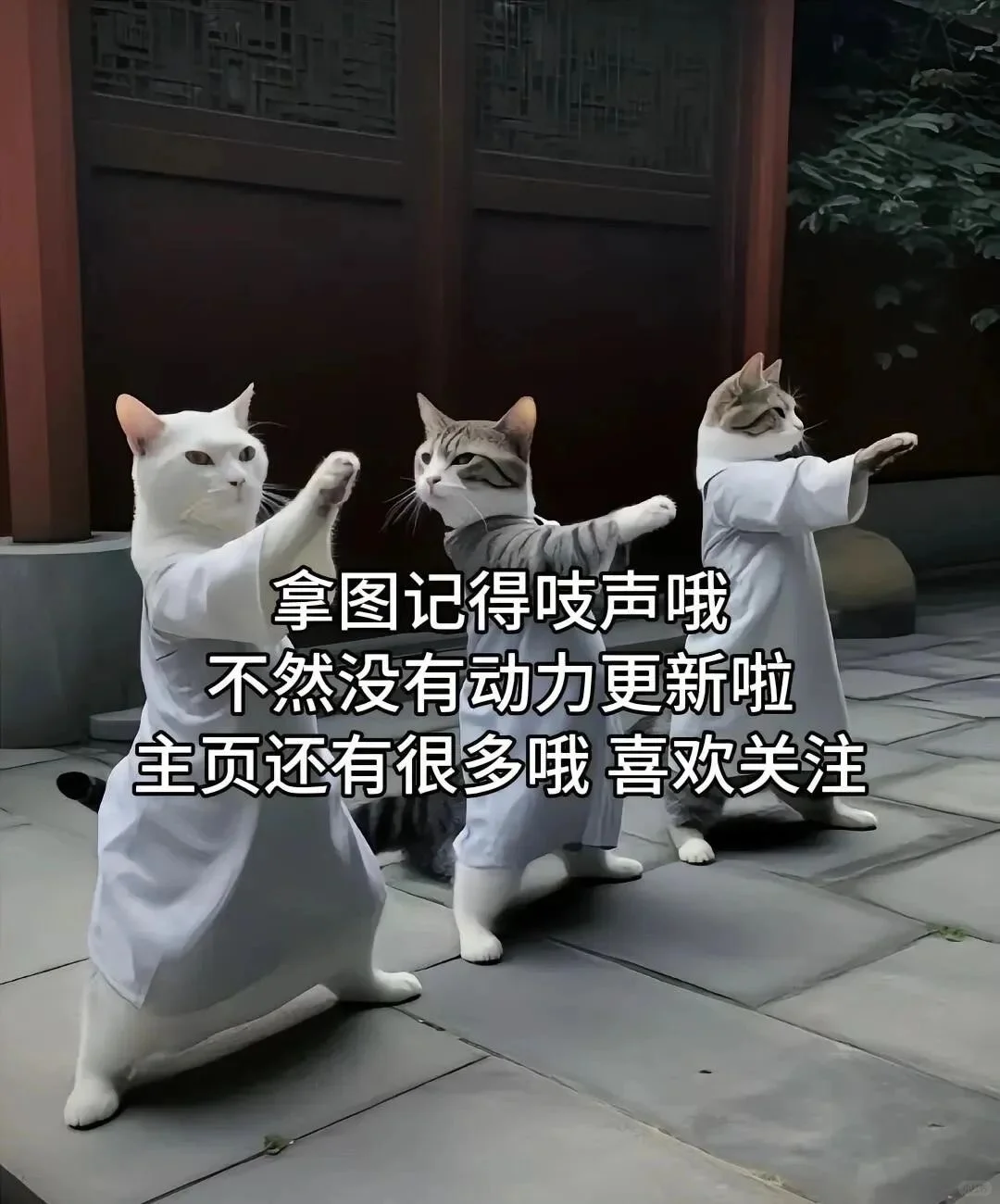 手机壁纸~意如白云随风动，情似春花映日红