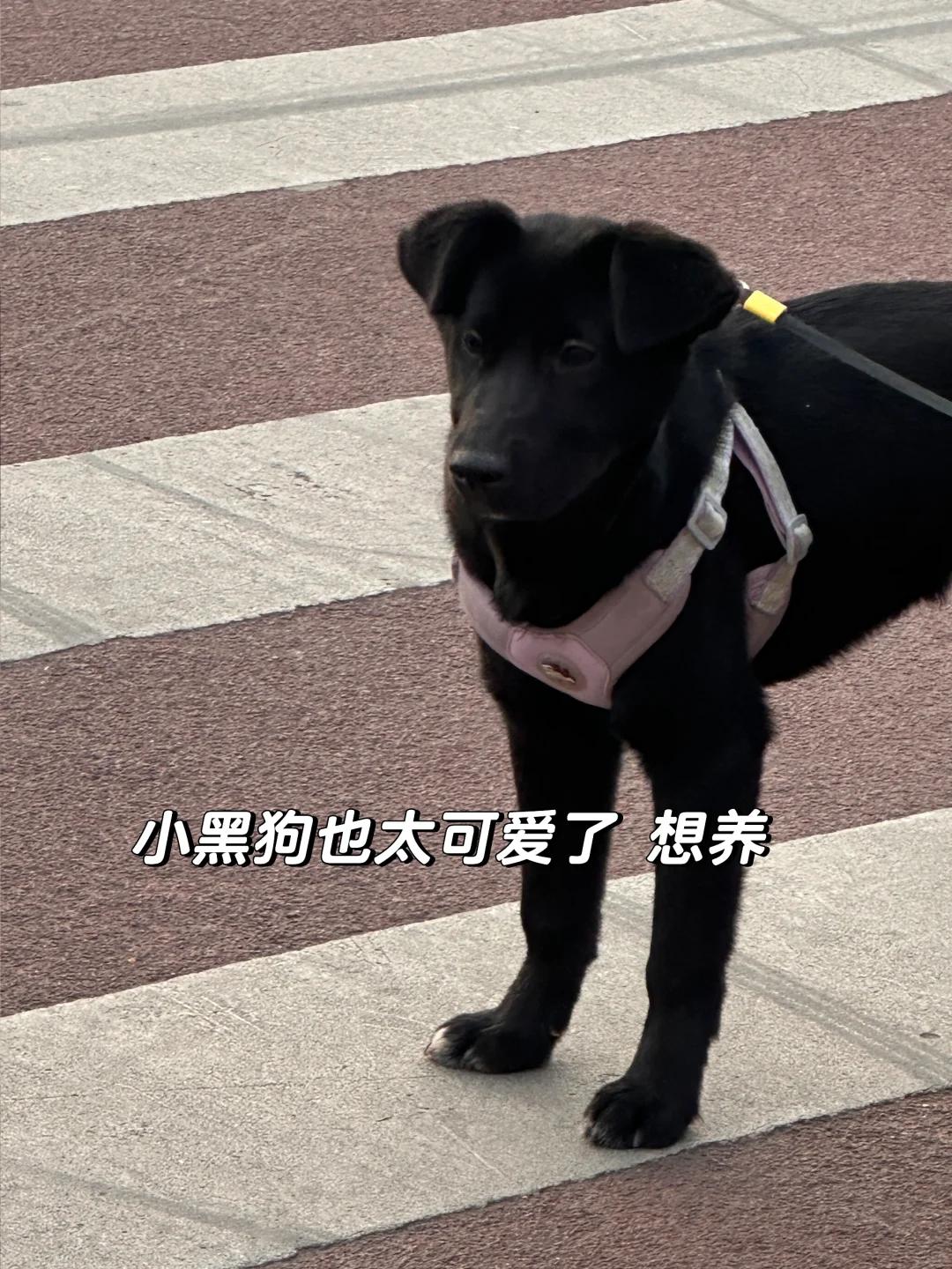 大自然是女人最好的保养品👍