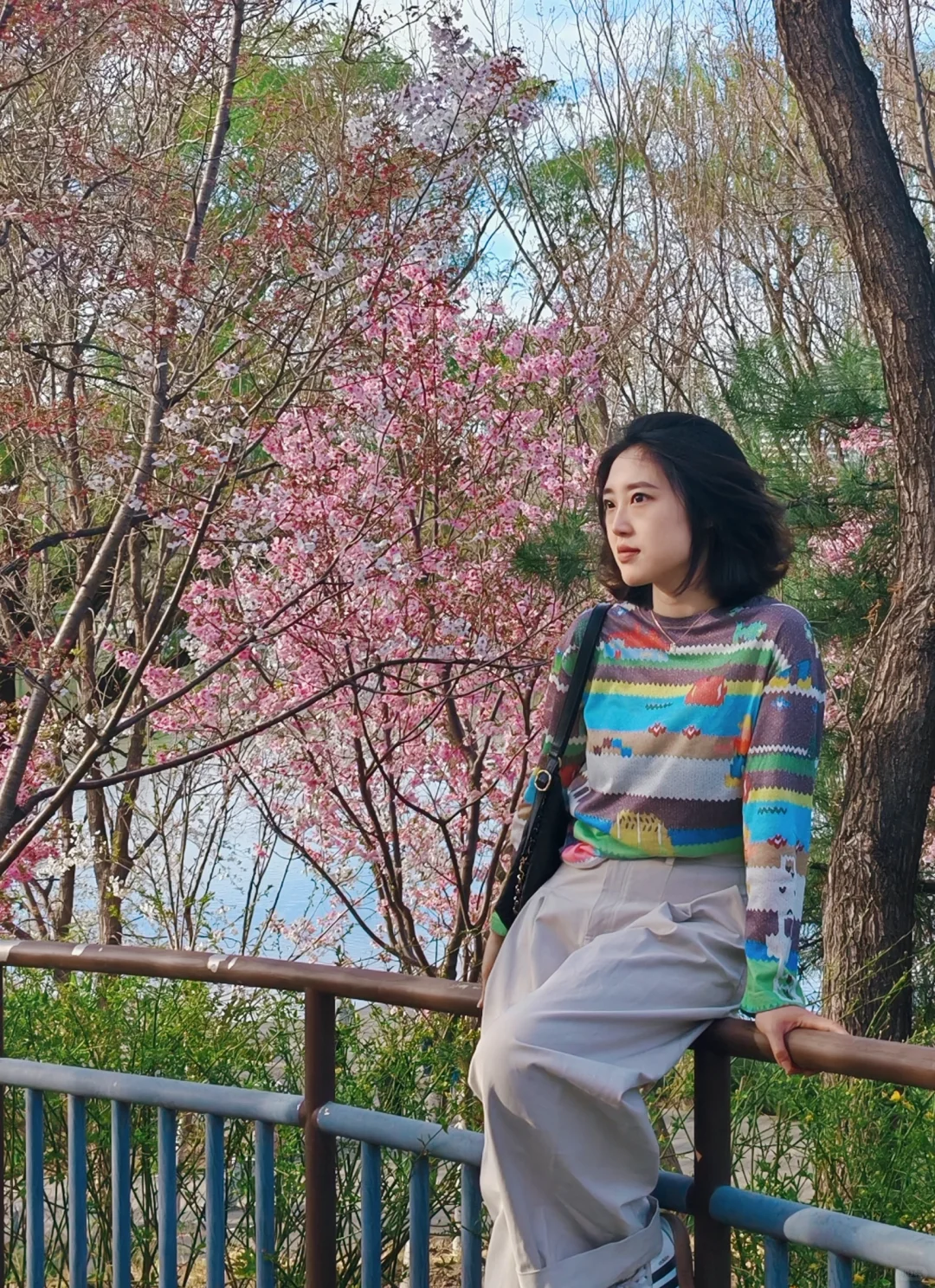 Sakura🌸