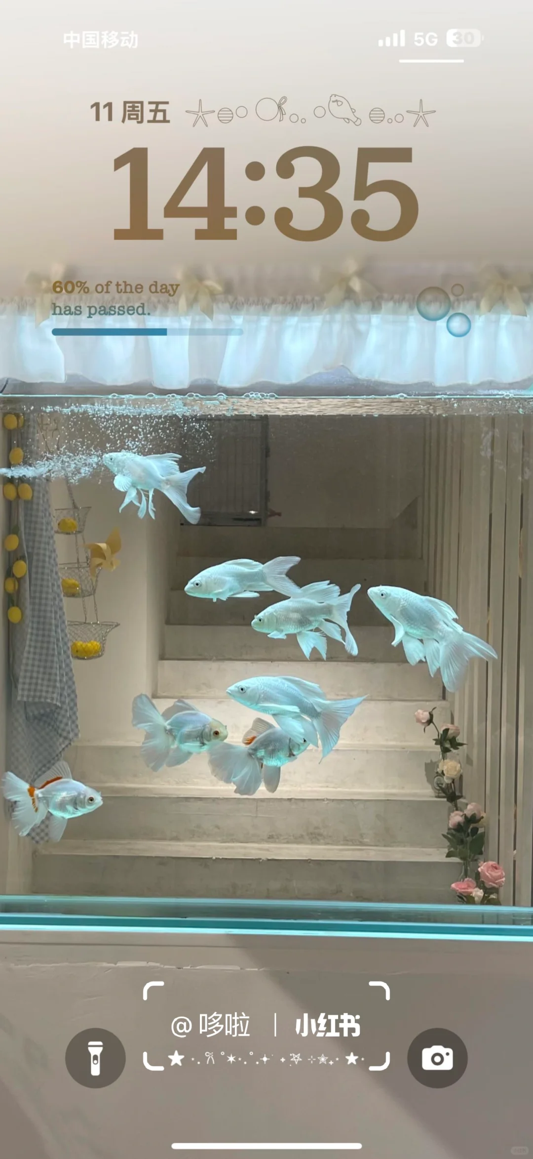 𓆡𓆝𓆟𓆜 𓆞𓆝𓆟 𓆜𓆞 ｜壁纸🐟🫧 …bulubulu