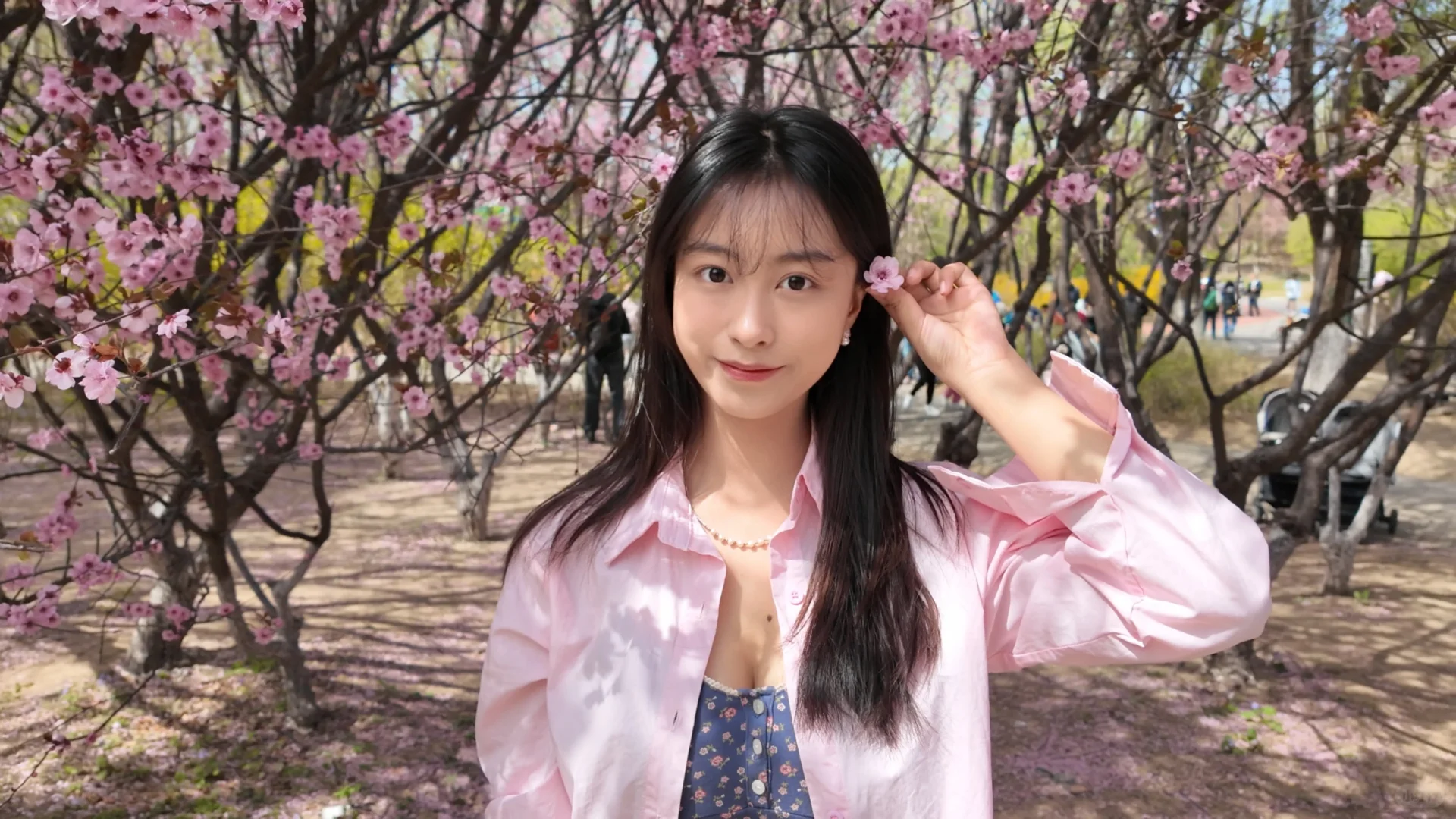 限定款美女