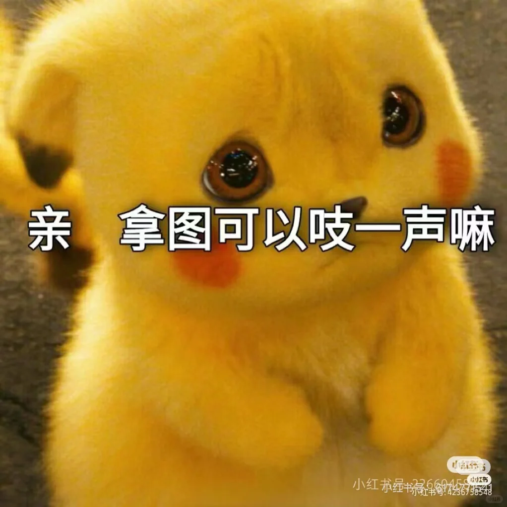 女神请换头像！