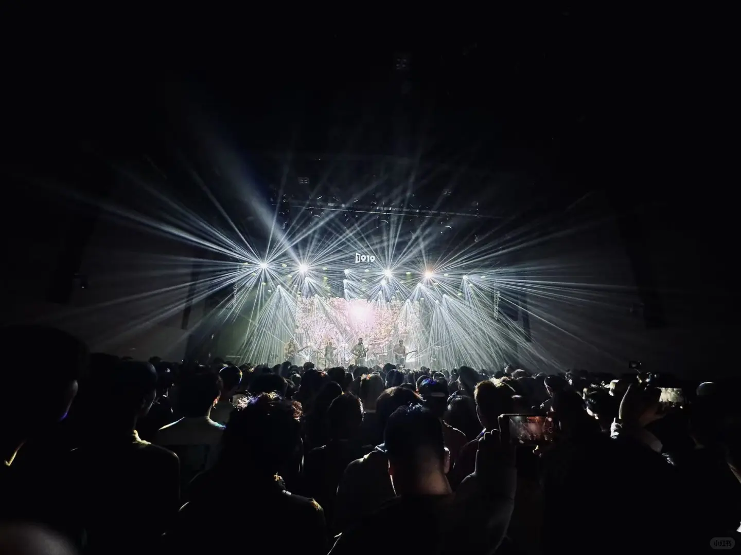 3.20-322 mogwai/温室杂草/美足