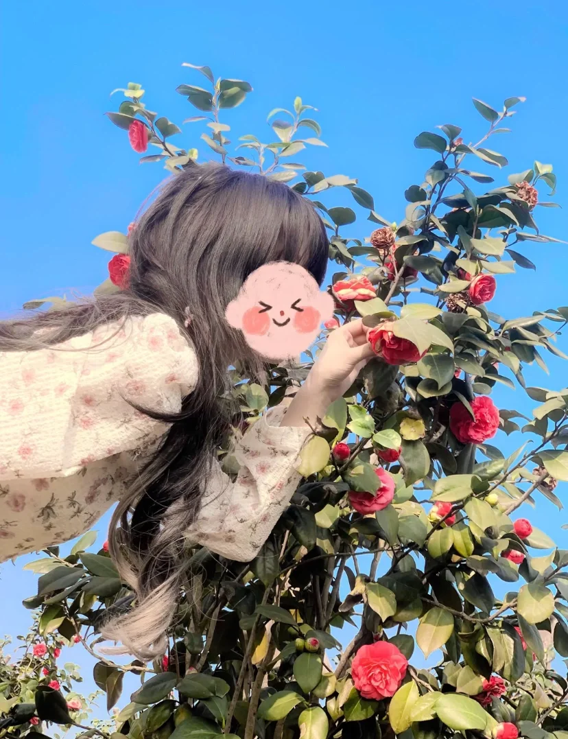女大学生㿟㿟之路
