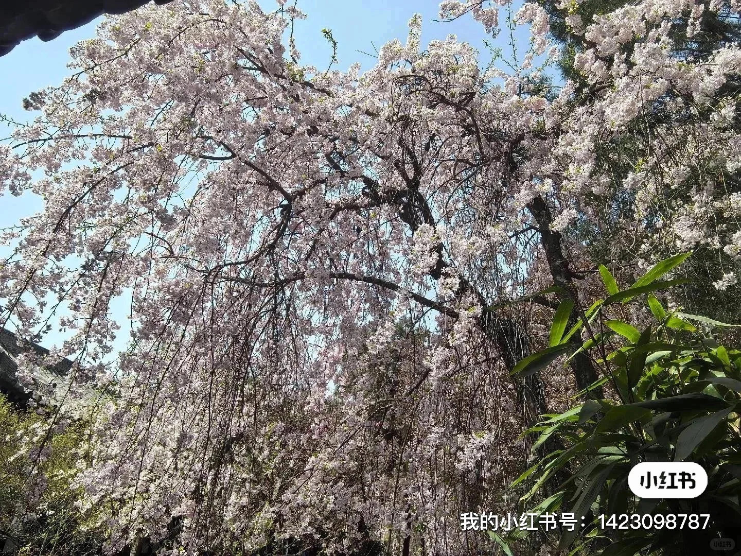 西安找对象，95硕，男找女