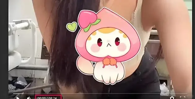 烧烤店老板娘：美艳私照疯传