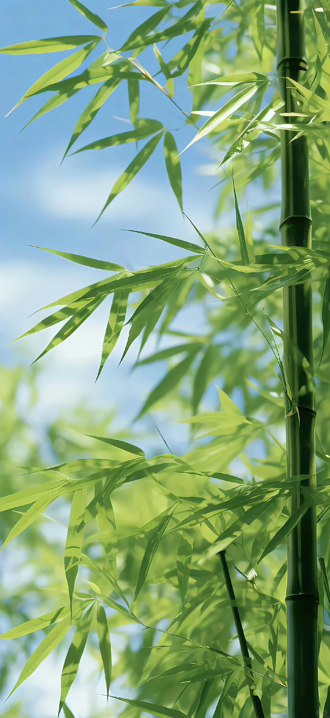 学业+考试+上岸 顺利的壁纸🌿