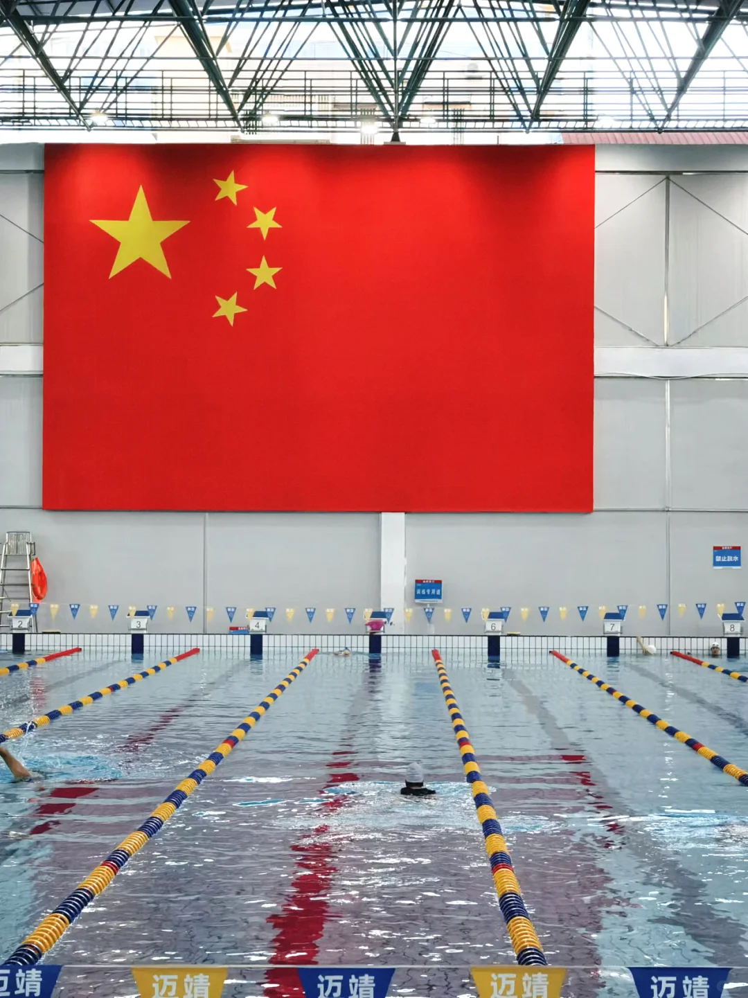 泳无止境🏊‍♀️