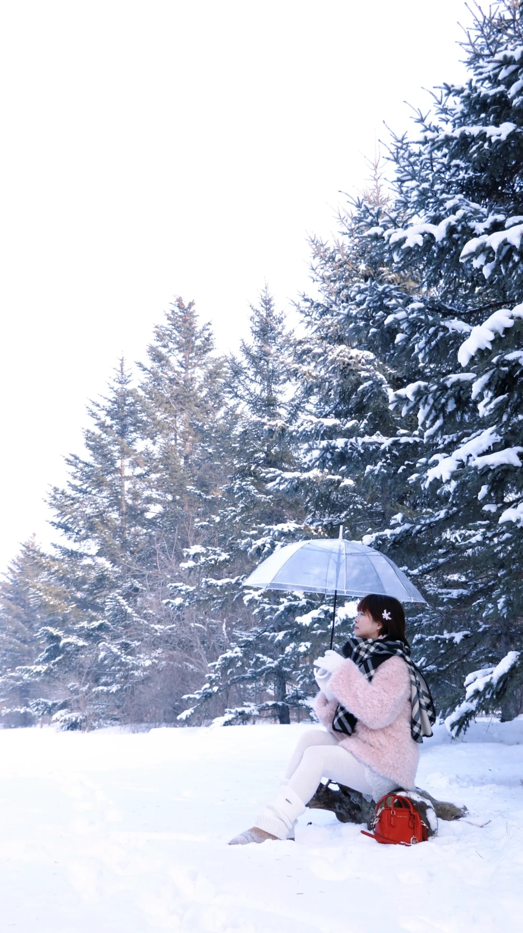 长春百木园雪景，可约拍