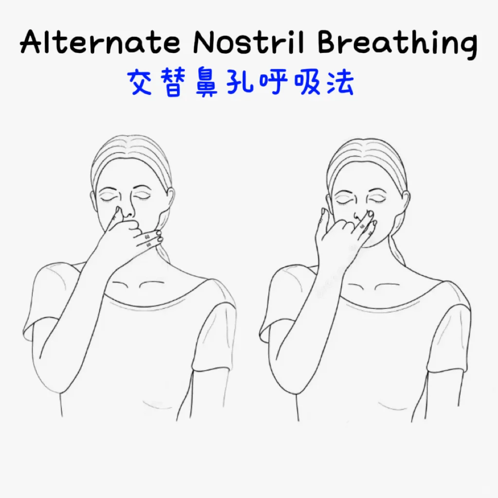 左脑趋向于交感，右脑趋向于副交感
