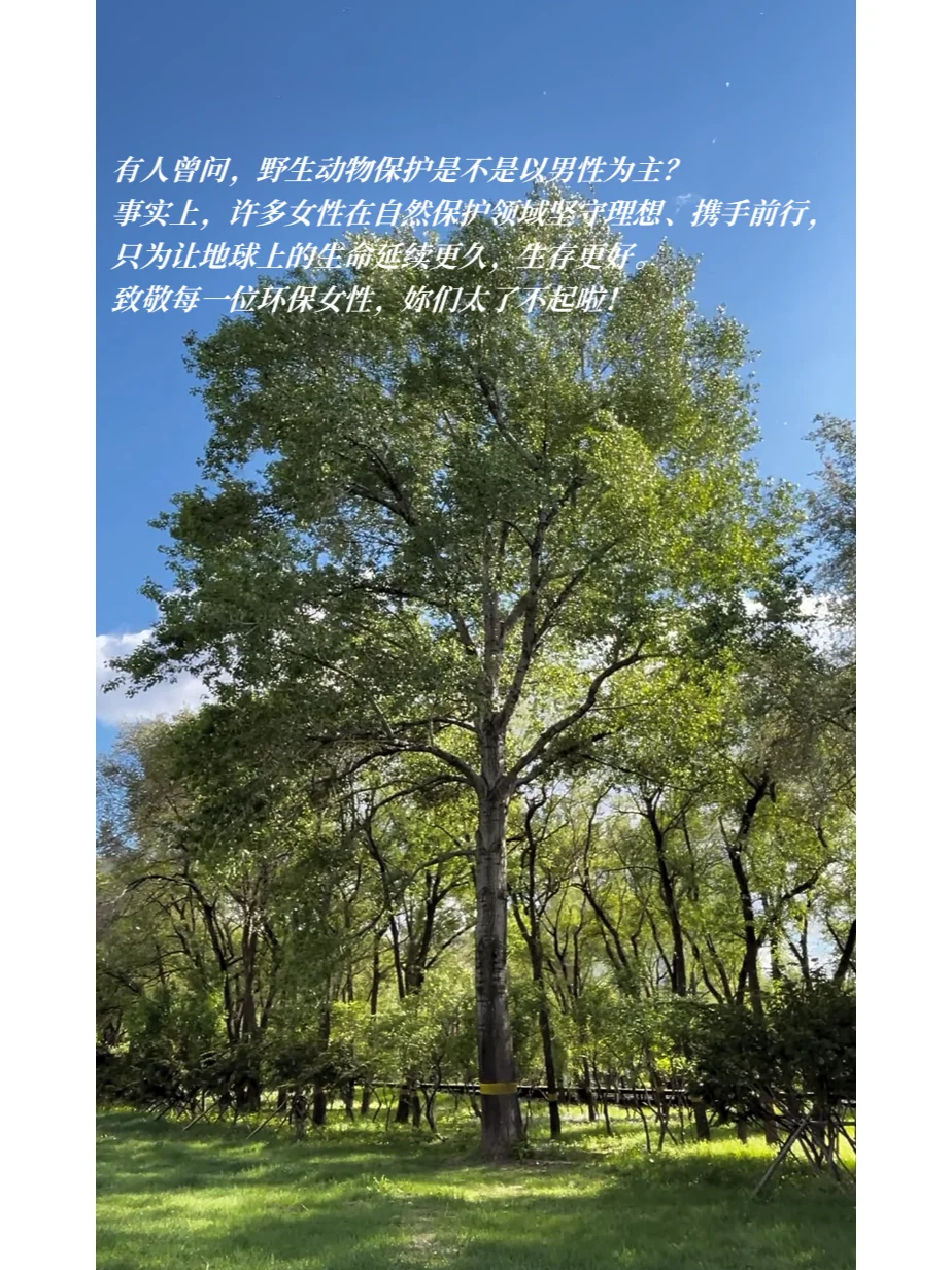 来，我们给你答案