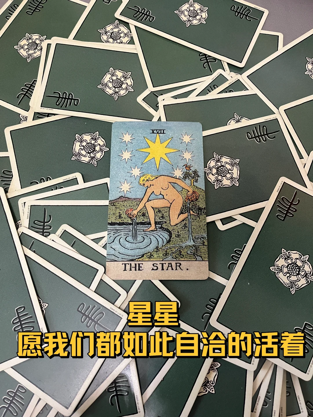 愿我们都如此自洽的活着——星星