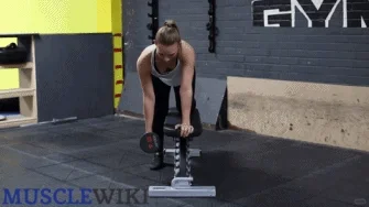 力量训练是女性永久性减脂的天然法宝