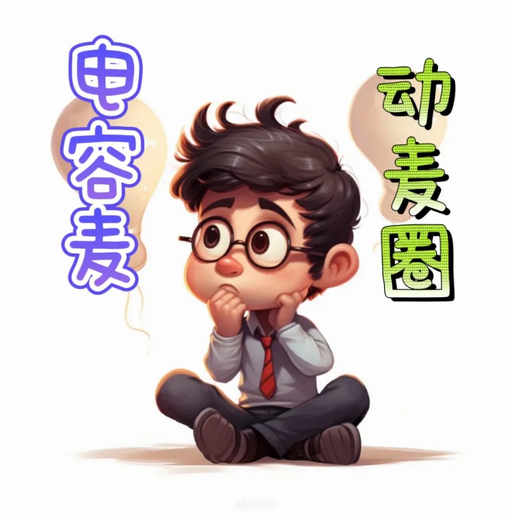 麦克风是选电容麦还是动脉圈啊？