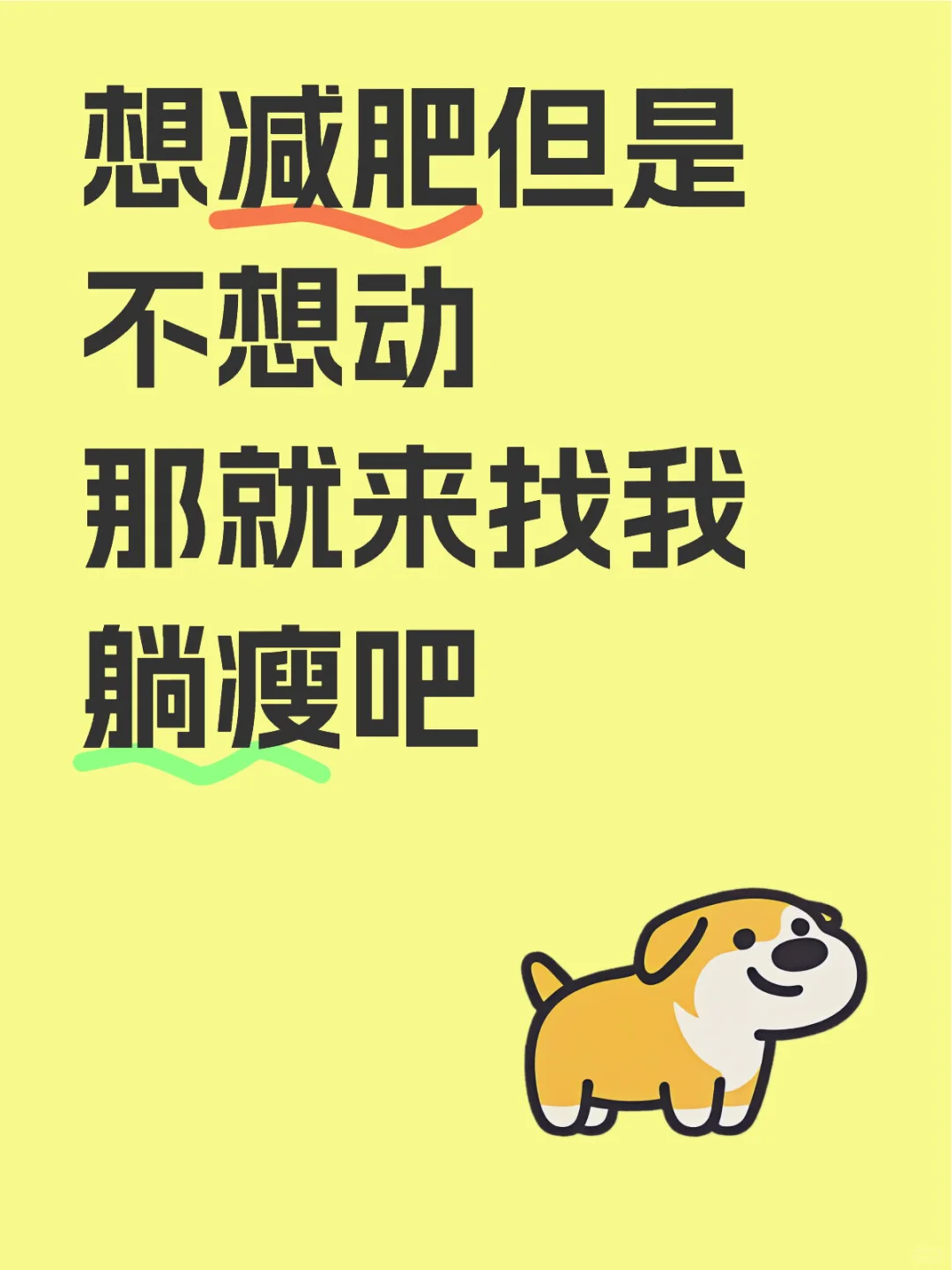 减肉肉其实没有那么难