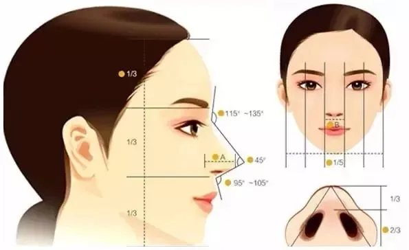 赢在大气层的中式美鼻，应该长什么样？