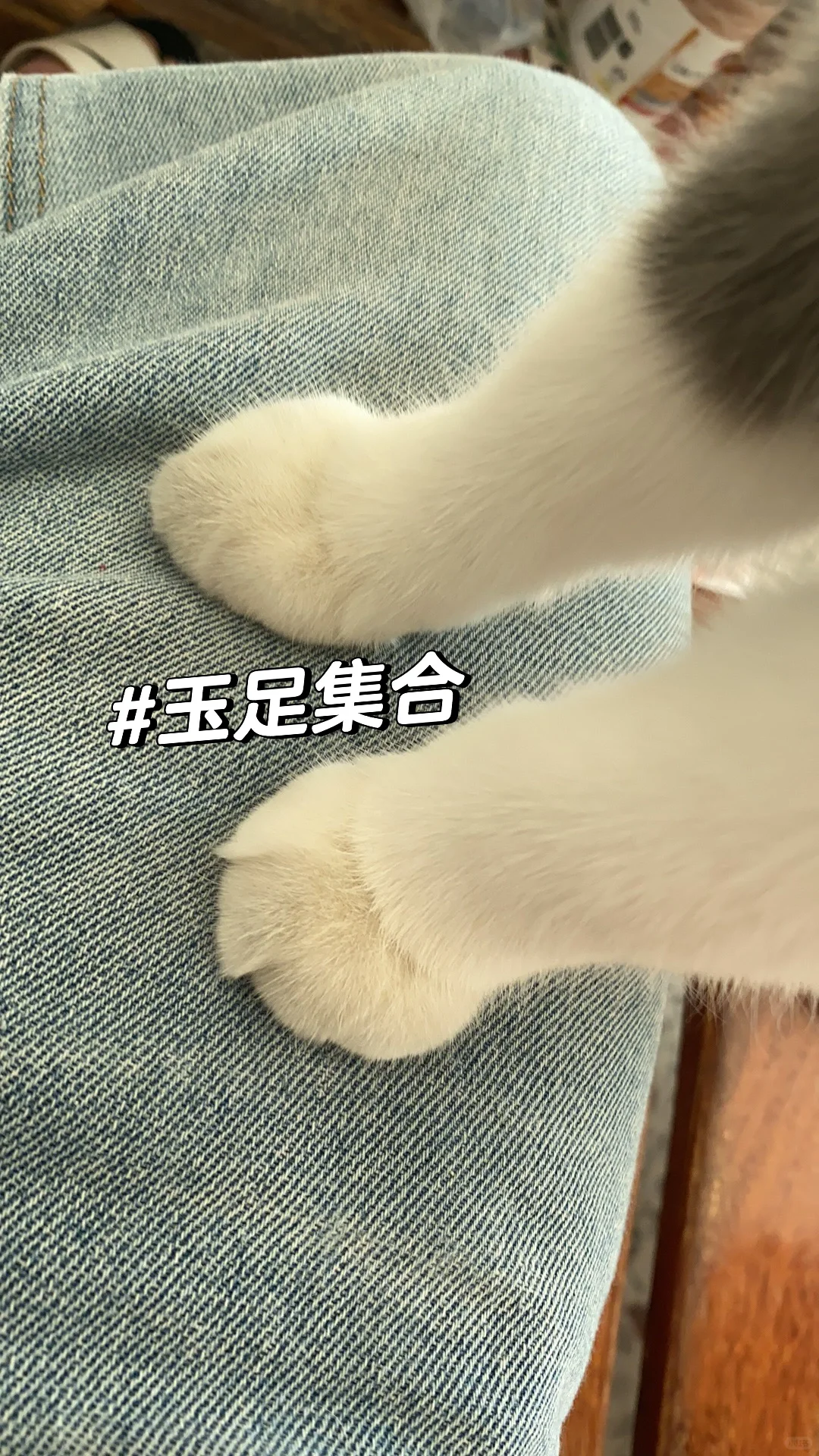 什么玉足？