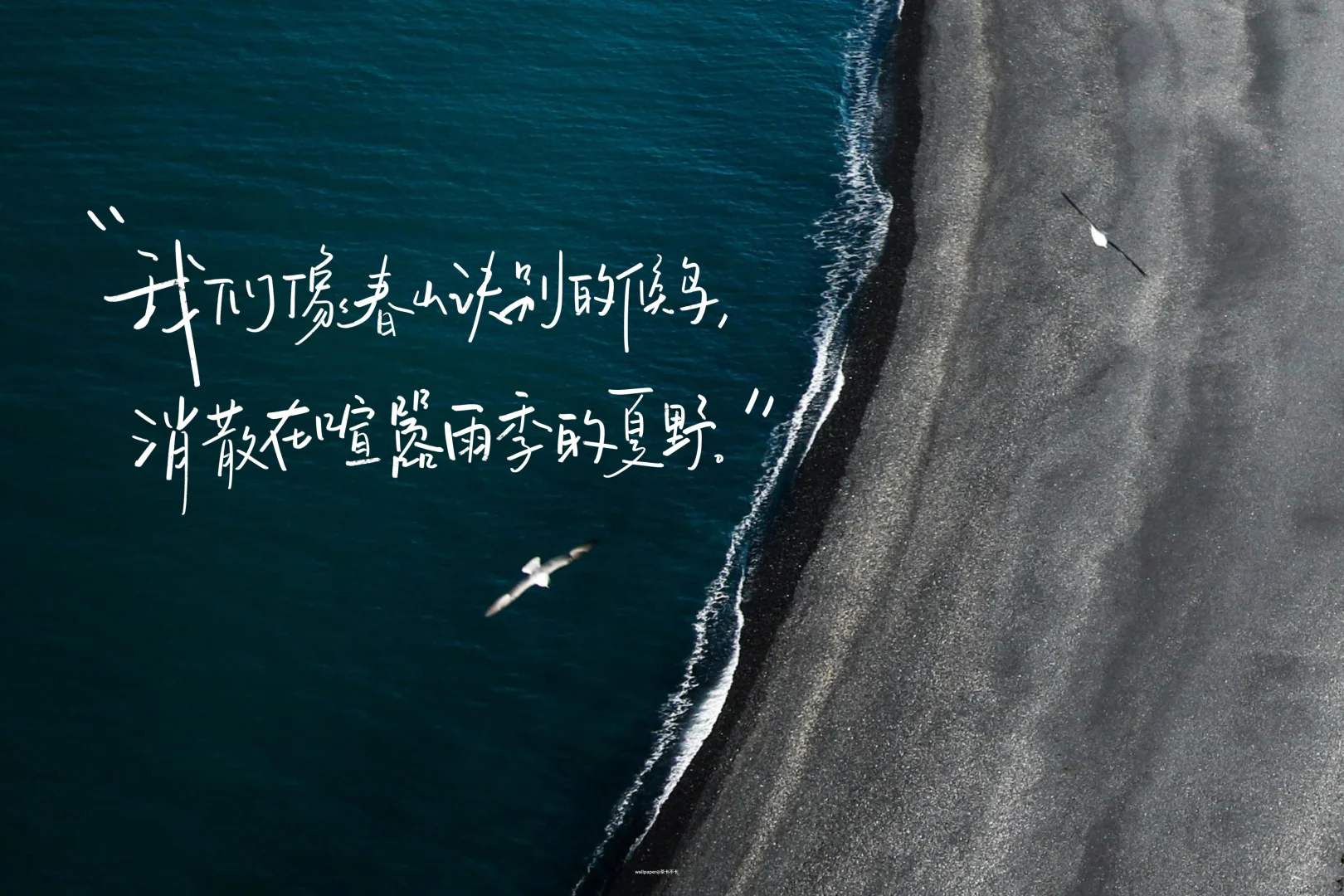 手写✍️04.01｜iPad壁纸/背景图-夏日版