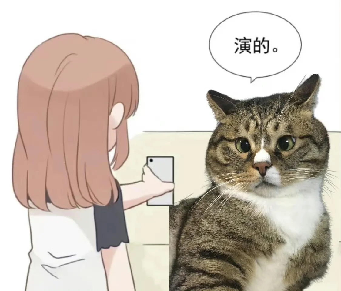 在中国，狸花猫会被训练去取报纸