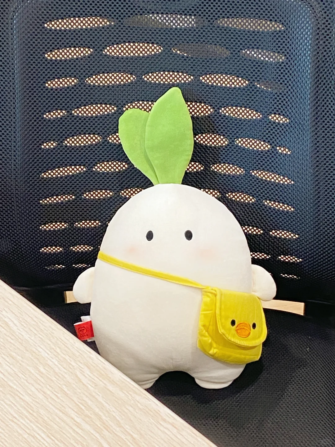 萝总已经在开会了